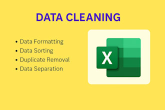 help you with excel data cleaning and formatting