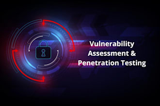 perform professional vulnerability assessment and penetration testing