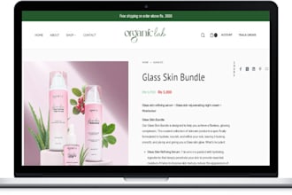 redesign, copy, clone, and duplicate shopify store