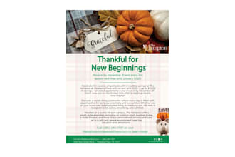 design professional marketing or sales flyers for your business