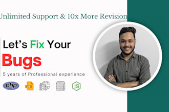 fix frontend, backend, server bugs, and ai generated bugs professionally
