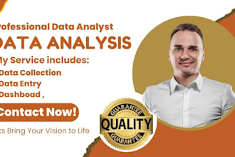 be your expert data analyst for excel power bi tableau and data cleaning