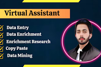 do copy paste, data entry, data enrichment, enrichment research and web research