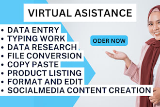 be your virtual assistant for data entry, data mining, copy paste, web research