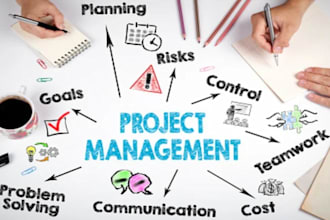 do project management plan, business task, risk report writing, gantt chart