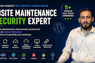 do maintenance and security for wordpress and custom sites