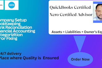 provide professional bookkeeping and accounting services