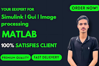 do matlab simulink image processing and gui project and task assigned