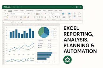 create microsoft excel reports ,complex analysis and data management