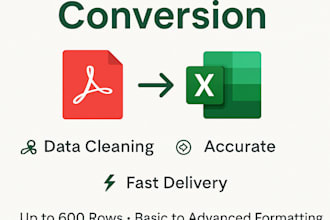 convert PDF to excel fast, data entry and spreadsheet formatting