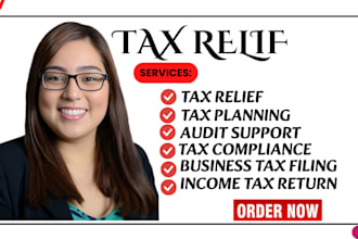 prepare your USA individual, business, trust or gift tax returns as a CPA