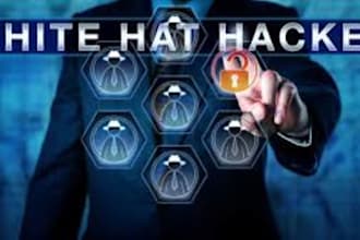 setup website security audit find vulnerabilities, sqli, XSS, csrf