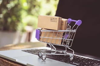 build auto buying bot, checkout bot, vinted bot, amazon bot, monitoring bot
