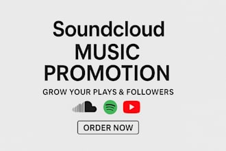 do organic music promotion, soundcloud, spotify, youtube music, audiomack, album