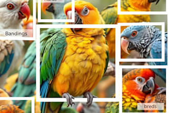 annotate data for ai projects