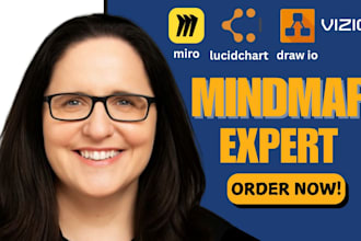 create any diagram or flowchart in miro, lucidchart, visio, infographic and draw