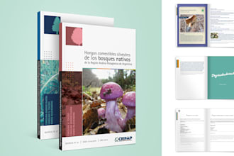 libro, revista, manual, publicación editorial