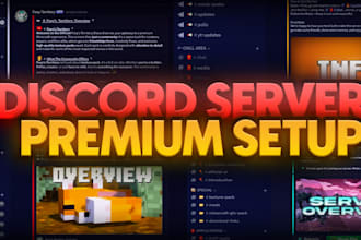 setup your discord server professionally