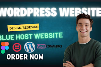 design wordpress website on bluehost godaddy hostinger siteground namecheap