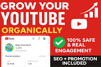 do complete youtube promotion and SEO for channel monetization