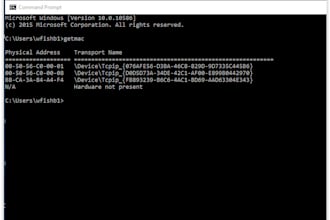 perform a security scan and vulnerability report on your website