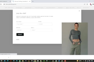 professional  java web app and desktop  app