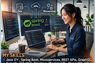 professional  java web app and desktop  app