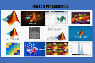 do professional matlab programming and script development for your projects