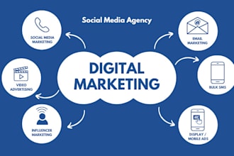 manage instagram, facebook, and linkedin accounts professionally