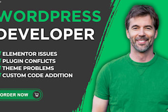 do wordpress bug fix, fix wordpress issue, fix wordpress website