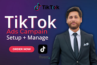 setup, run, and manage high converting tiktok ads for sales