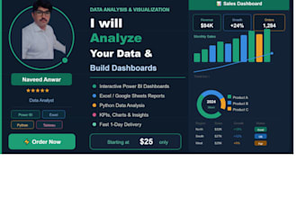 do data analysis and build an interactive dashboard using python,power bi,excel