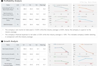 conduct korean market and company research and risk analysis