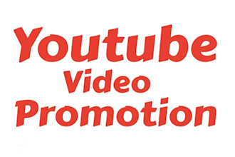 do add 1000 youtube views, followers watch time for monetization