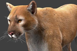 design animal model character,3d creature with xgen,hair, rigging, realistic fur