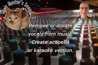 remove vocals from music, create an acapella or karaoke version