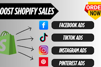 boost shopify website sales marketing instagram facebook ads shopify promotion