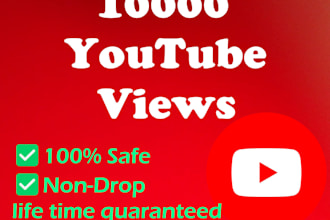 do add 1000 youtube views, followers watch time for monetization