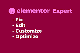 edit elementor website, optimize and fix all bugs