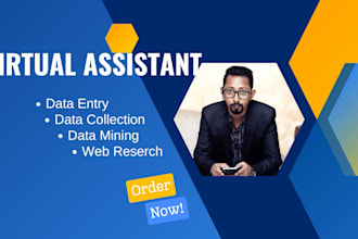 do data entry, web research, and lead generation for you