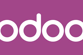 developed customize and install odoo erp
