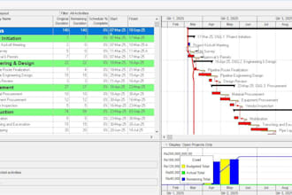 prepare project schedule on primavera p6 or ms project