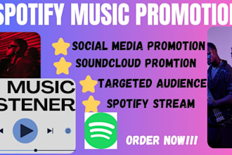 do organic spotify music promotion with ads to get real music listener