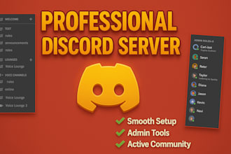 setup any custom discord server with bots and advanced setup