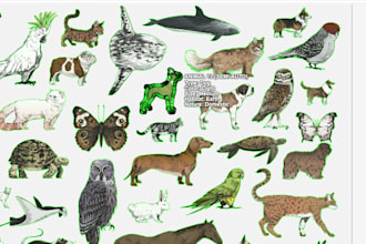 annotate images with polygons for coco and segmentation datasets