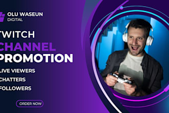 do a twitch channel promotion to gain active audience