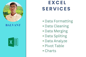 clean, format, merge, split excel data