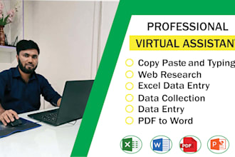 do data entry data typing copy paste web research and excel data entry