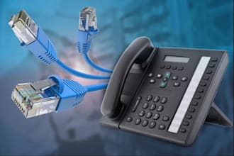 set up sip trunk,3cx,caller id, phone system, spoof website, spoof api, voip