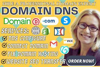 connect domain, do domain transfer, restore expire domain, and also fix domain